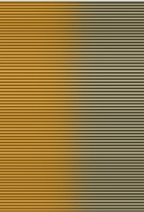 200cm X 300cm